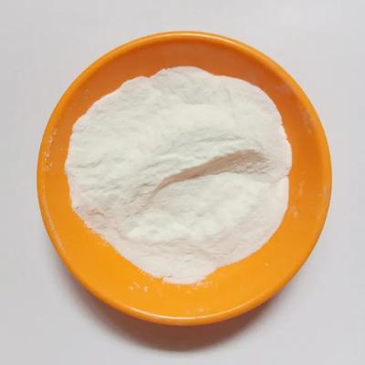 China White Powder Sodium Bicarbonate/Baking Soda/Nahco3 for Food/Rubber/Printing/Dyeing for sale