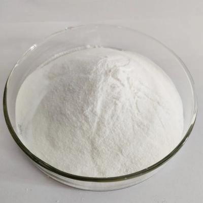 China 99%min Sodium Bicarbonate Nahco3 Baking Soda in White Powder for Industrial Needs for sale