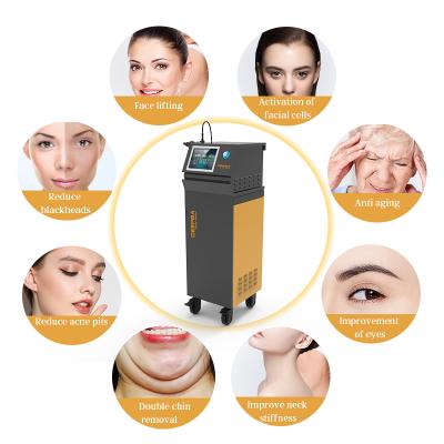 China Weight Loss/Body Shaping/Tecartherapy Machine Anti Aging/Skin Rejuvenation Diathermy Diathermy Ret Intelligent CET RF Indiba Equipment for sale