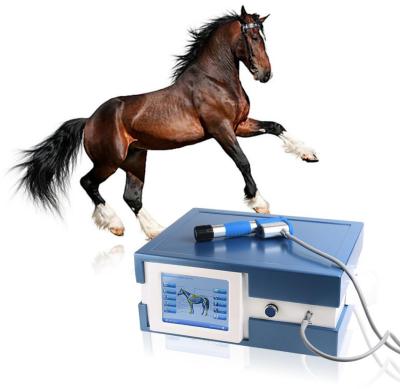 China Equine Shockwave Therapy Machine Horse Shockwave Therapy Machine 8 Bar 21hz 7 Pieces Shockwave Heads Applicator For Animals 47*36*20(cm) for sale