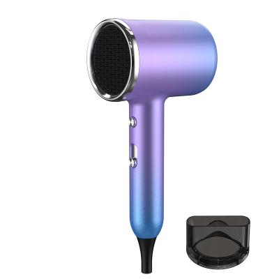 China 2021 Internet Celebrity Anion Hair Dryer Household Hotel High Power Ionic Hair Dryer for sale