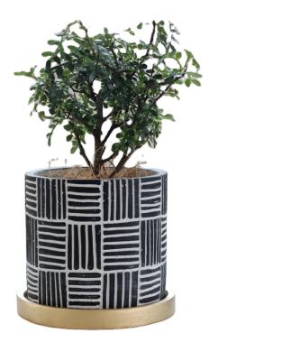 China Modern Black Cement Flower Pot With Drain Hole With Gold Tray Concrete Pots For Plants for sale