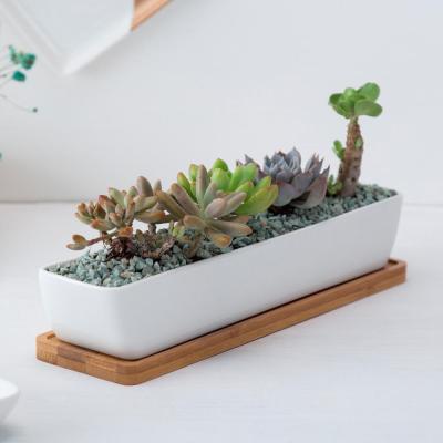 China Wholesale Modern White Decorative Rectangle Ceramic Flower Stand Ceramic Succulent Pot With Bamboo Tray for sale