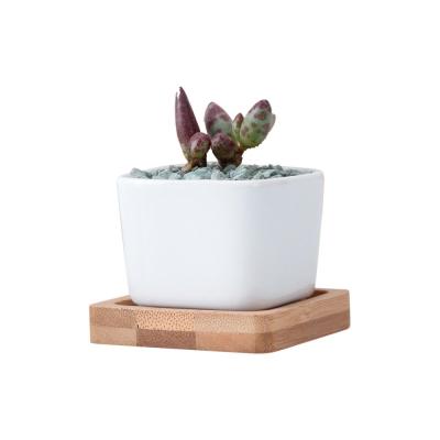 China Wholesale Modern Ceramic Planter Pots Rounded Square Mini Plant Pot With Bamboo Tray for sale