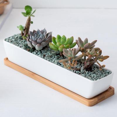 China Modern Wholesale Cheap Ceramic Plant Flower Pot For Garden Succulent Plant With Bamboo Tray for sale