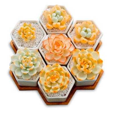 China Modern Hot Selling Wooden Flower Pot The Ceramic Succulent Pot Set With Large Bamboo Tray for sale