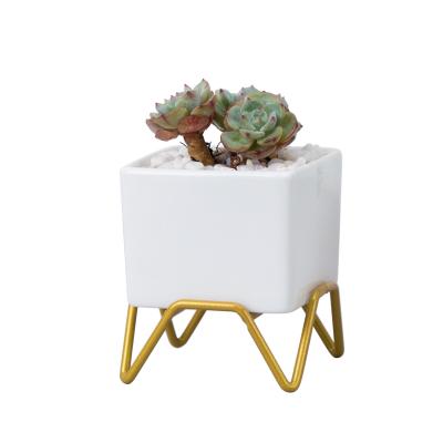 China Modern Minimalist Succulent Flower Plant Ceramic White Pot With Iron Flower Stand For Desktop for sale