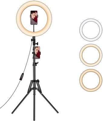 China ABS+PC 10 Inch Ring Light With Led 190cm Triod Ring Led 10 Inch With Remote Product Photography for sale