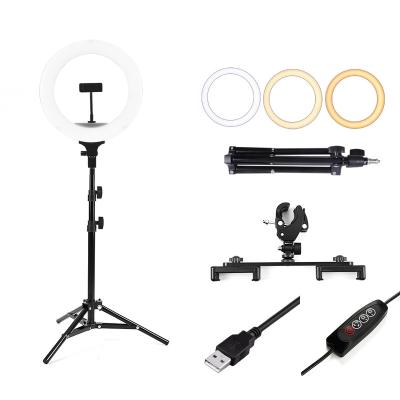 China ABS + portable 8inch PC led ring light kit for video with MIC holder for sale