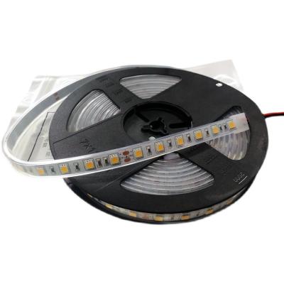 China Desk 5 years warranty 12v/24v IP20/IP65/IP67/IP68 60leds per meter 5050 Epistar led strips light for sale