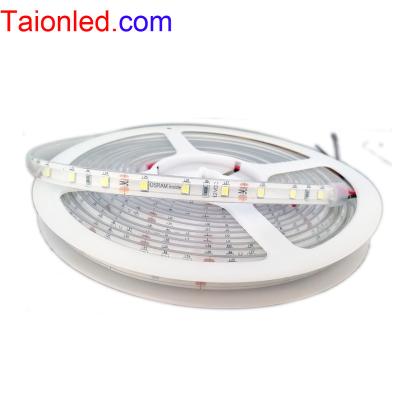 China Office 24v 12v 12W/Meter OS RAM SMD2835 IP20/IP65 60leds per meter high quality led strips for sale