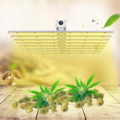 China Seed starting plant hydroponic planting system greenhouse greenhouse full spectrum white and red light 6bar 600watt hps spiders form led to grow //light for sale