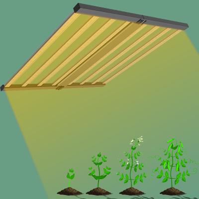 China Seed Starting Top Sale 2021 Horticulture Full Spectrum lm301b for Garden Tent Greenhouse IR UV Dimmable 600W 720W 1000W Led Grow Lights for sale