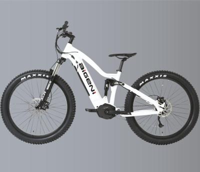 China 48V 500W 750W Mid Drive Standard Electric Mountain Bike Electric Bicycle for sale