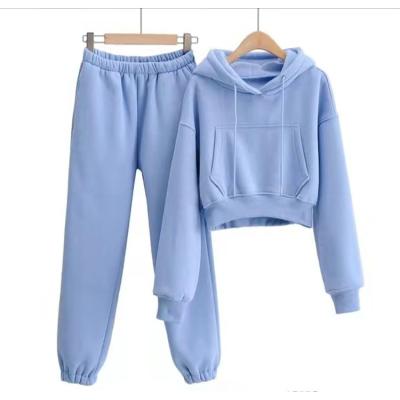 China 2021 Viable Women's Sport Hoodie Suit Short Hoodie Casual Sweatshirt for sale