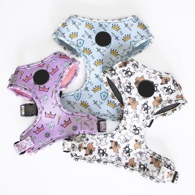 China DETACHED Pet Supplies Design Portable Dog Harness And Leash Set Dog Leash And Collar Bow Tie Bandana Whole Set for sale