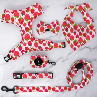 China DETACHED Personalized Dog Harness and Leash Customized Style Adjustable Breathable Harness with Leash Collar Set Neoprene Dog Harness for sale