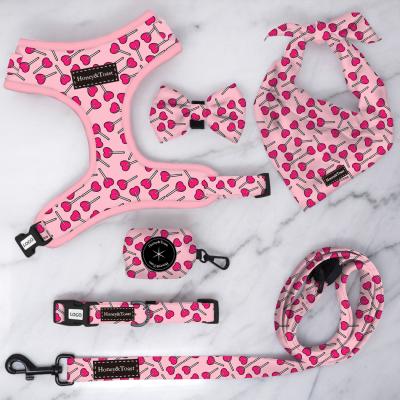 China Top Selling DETACHED Custom Design Dog Harness Costume Bow Tie Collar Bandana and Leash Poop Bag Dispenser Dog Set for sale