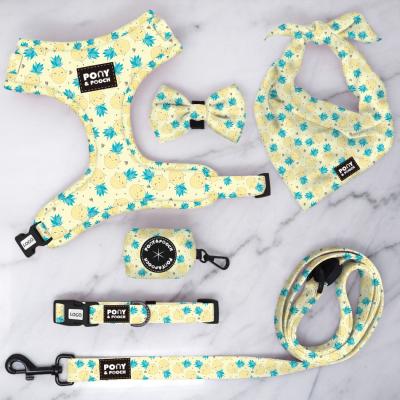 China BREAKPOINT in Wholesale Running Dog Collar and Leash Set for sale