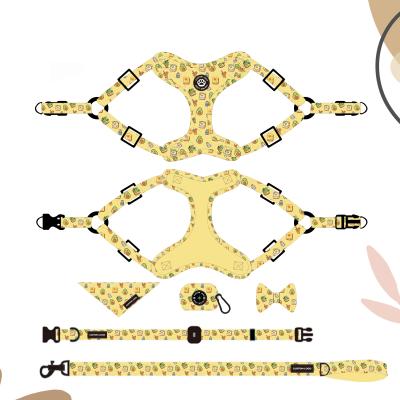 China Custom Dog Harness Various Colors High Quality Eco-Friendly Wholesale Polyester DETACHED Custom Step In Dog Harness for sale