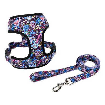 China DETACHED Cheapest Custom Design Small Dog Multi Functional Dog Leash Medium Large Pet Leash for sale