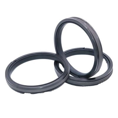 Cina Hot Selling Piston Seal SPGW With High Quality in vendita