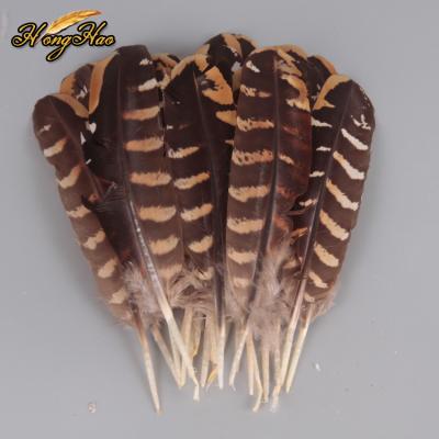 China Hot Sale Small Size 10-15cm Pheasant Feather Natural Cheap Pheasant Feathers Decorative Feathers for sale