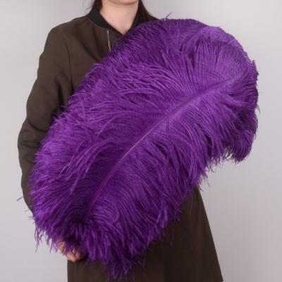 China Wholesale Cheap Wholesale 15-75cm Beautiful Large Purple Ostrich Feathers For Sale Fashion Wedding Decoration Crafts for sale