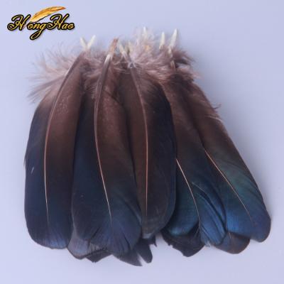 China Cheap natural blue white pheasant feather feather feathers goose feathers for crafts fabric for sale