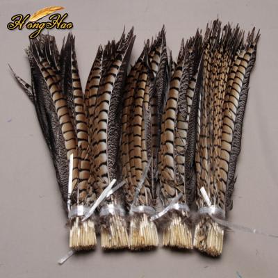 China Cheap Hat Decoration 15-40cm Pheasant Feathers For Sale Carnival Decoration Feathers for sale