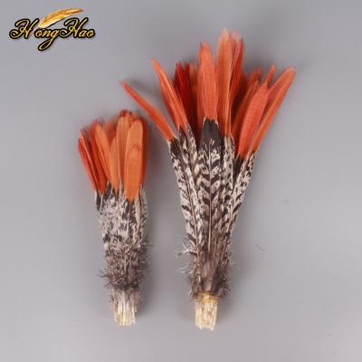 China Wholesale Cheap Natural Pheasant Feather Pheasant Feathers Tail Red Lady Amherst Pheasant Feathers For Sale for sale