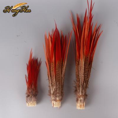 China Natural pheasant feather tail 15-30cm golden pheasant feather from red lady's feather factory wholesale decoration for sale