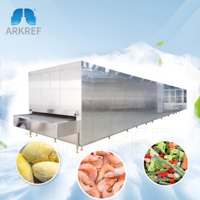 China Plant Mango/Vegetable/Strawberry Machine/Potato Iqf Blast Freezer Tunnel for sale