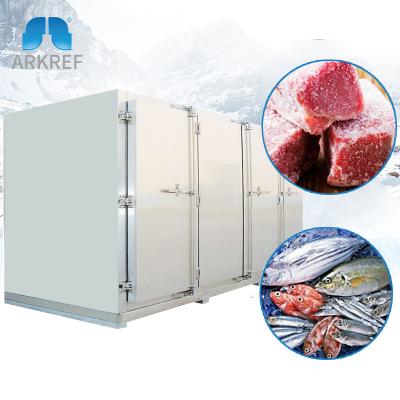 China Seafood Refrigeration For Sale Box Shrimp Iqf Touch Dish Machine Quick Dish Freezer For Freezing for sale