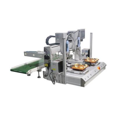 China Connect To Production Line High Speed ​​Automatic Screw Assembly Machine Screw Inserting Automation Robot for sale