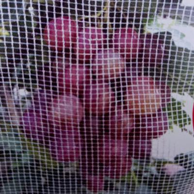 China Good Quality HDPE Durable Cheap Virgin HDPE Anti Hail Net Crop Protection Netting for sale