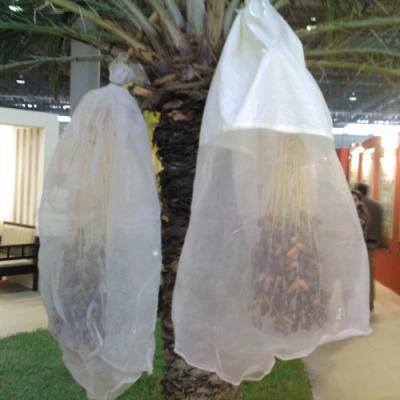 China Sustainable promotional price of fruit protection bags for sale