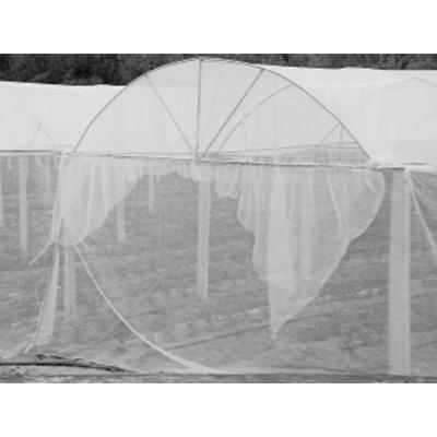 China Custom Plastic Mesh Wholesale Insect Nets Agricultural Insect Netting For Protecting Vegetable Gardens for sale