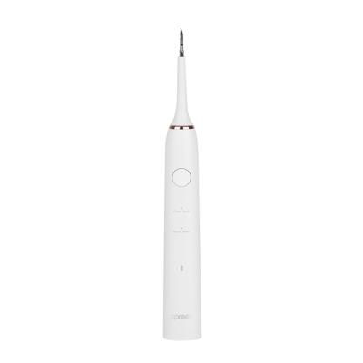 China IPX7 Waterproof Powerful Clean Smart Toothbrush Rechargeable Adult Travel Sonic Electric Toothbrush Home Use for sale