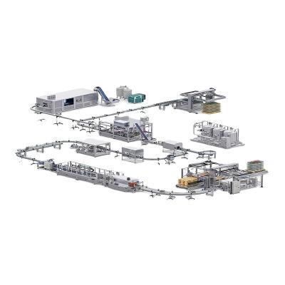 China Full Automatic 6000b/h Flavoured Fruit Drinks Production Line with Juice Filling Material for sale