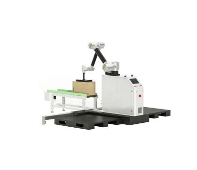 China 1600 mm Extensão máxima do braço Palletizer de garrafas de PET automático completo para material de embalagem de plástico à venda