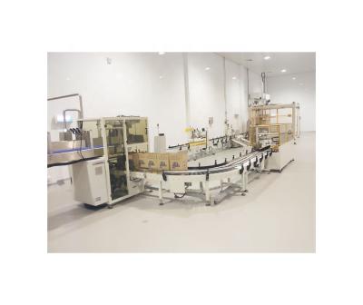 China Automatic Grade Automatic Function Packing Beverage Bottles Case Packing Machine for sale