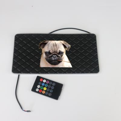 China 2019 High Brightness Universal Hot Selling Logo LED RGB Mat Atmosphere Lamp LED Mat Atmosphere Lamp PVC Car Light for sale