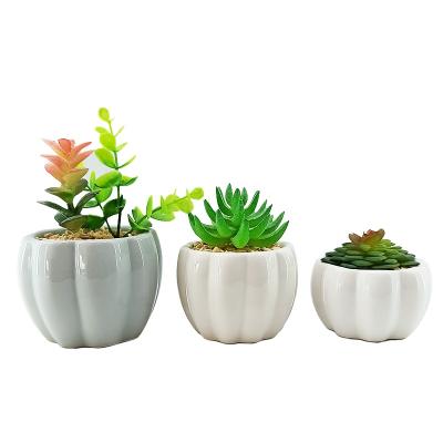 China Modern Customized Pumpkin Form Succulent Plants Ceramic Plant Pot Artificial Pot for sale