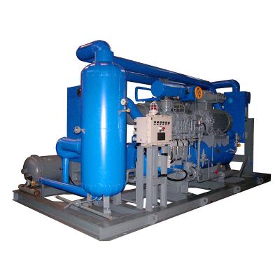 Cina KERUI Ordinary Screw Compressor Unit Natural Gas Air Sulfur Dioxide Skid Mounted in vendita