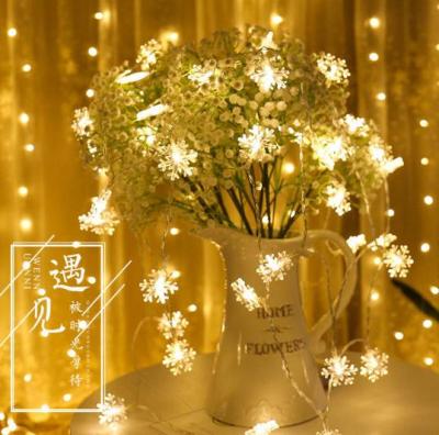 China Cute And Good Price Snow Small Lantern Series Led Lights Christmas Holidays Light Battery Compartment Ins Stars Flash Chandeliers pn7202 for sale