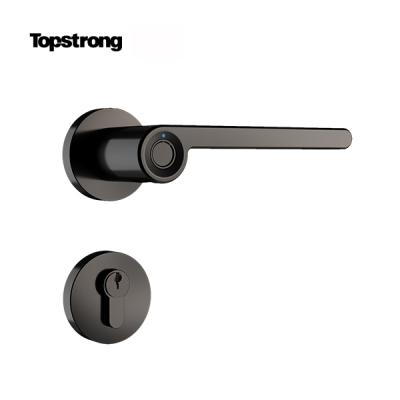 China Fingerprint Door Lock European Wifi Zinc Alloy Smart Indoor Door Lock With Fingerprint for sale