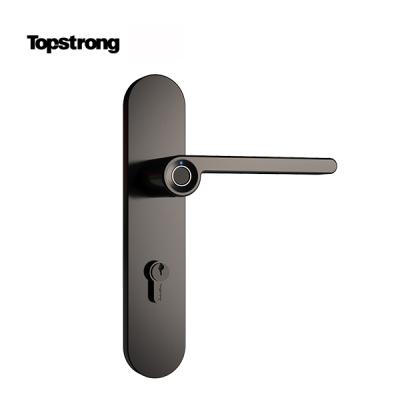 China Zinc Alloy Coin Fingerprint Lock Mini Smart Door Lock With Fingerprint Sensor To Handle for sale