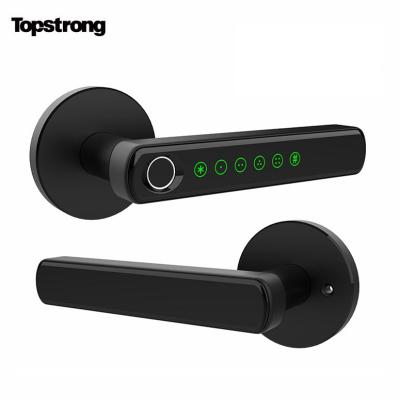 China New Trend Multifunctional Zinc Product ABS Material Voice Digital Handle Door Lock for sale