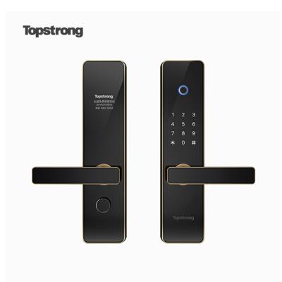 China Zinc Alloy European Home Fingerprint Z-Wave Digital Smart Door Lock for sale